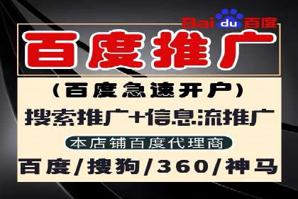 某公司SEO与SEM整合营销的全程记录